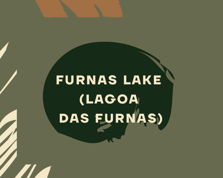 furnas-lake